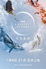完美星球 完美星球