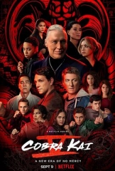 眼镜蛇第五季 眼镜蛇第五季