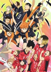 排球少年剧场版:结束与开始 排球少年剧场版:结束与开始