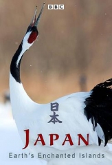 狂野日本 狂野日本