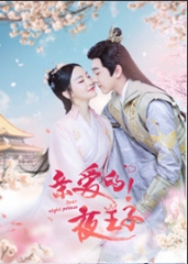 亲爱的夜王子 亲爱的夜王子