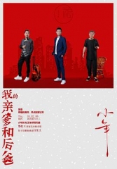 我的亲爹和后爸DVD 我的亲爹和后爸DVD