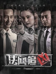 法网追凶第三季 法网追凶第三季