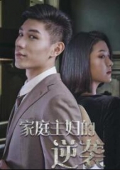 家庭主妇的逆袭 家庭主妇的逆袭