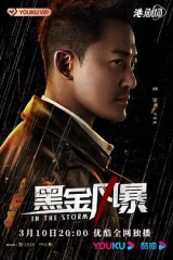黑金风暴粤语版 黑金风暴粤语版