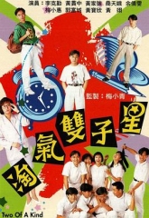 淘气双子星 淘气双子星