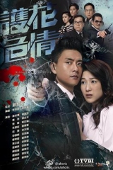 护花危情国语版 护花危情国语版