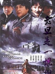 老旦是一棵树 老旦是一棵树