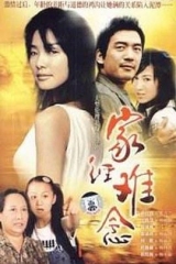 家经难念 家经难念