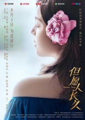 但愿人长久 但愿人长久
