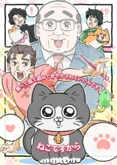 转生成猫的大叔 转生成猫的大叔