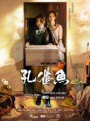 孔雀鱼 孔雀鱼