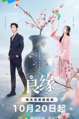 流光鉴良缘 流光鉴良缘