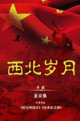 西北岁月 西北岁月