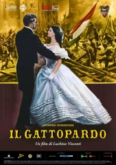 豹Ilgattopardo 豹Ilgattopardo