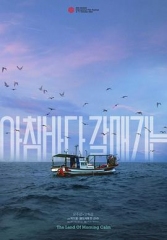 晨海的海鸥 晨海的海鸥