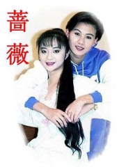 薔薇1992 薔薇1992