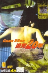 追凶20年粤语 追凶20年粤语