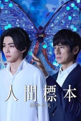 人类标本 人类标本