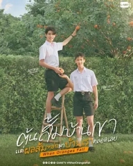 当橘子掉落时 当橘子掉落时